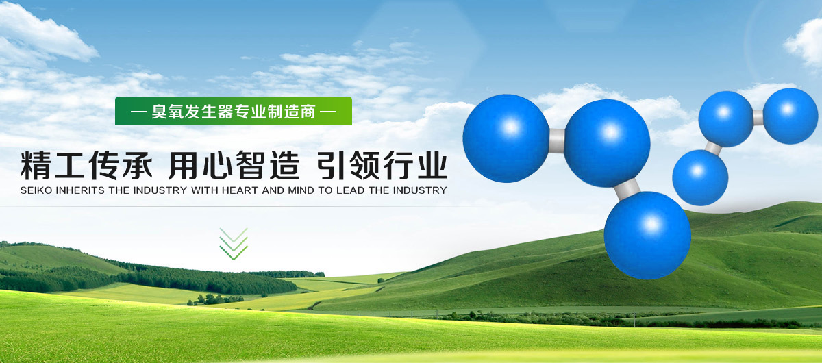 上海叶晗电器有限公司-臭氧发生器，臭氧消毒设备，臭氧机