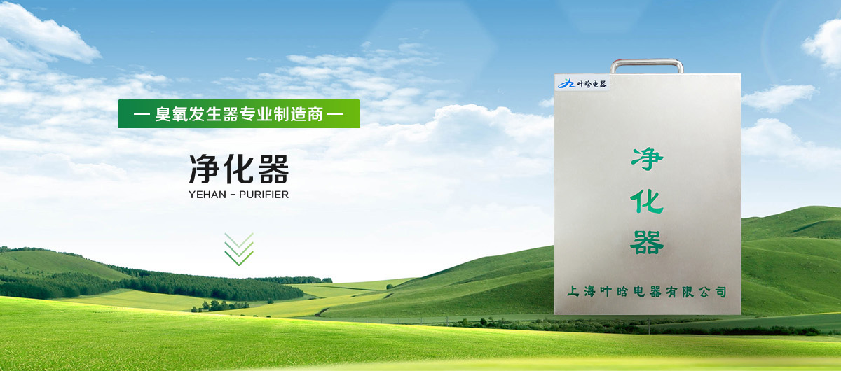 上海叶晗电器有限公司-普通型臭氧发生器