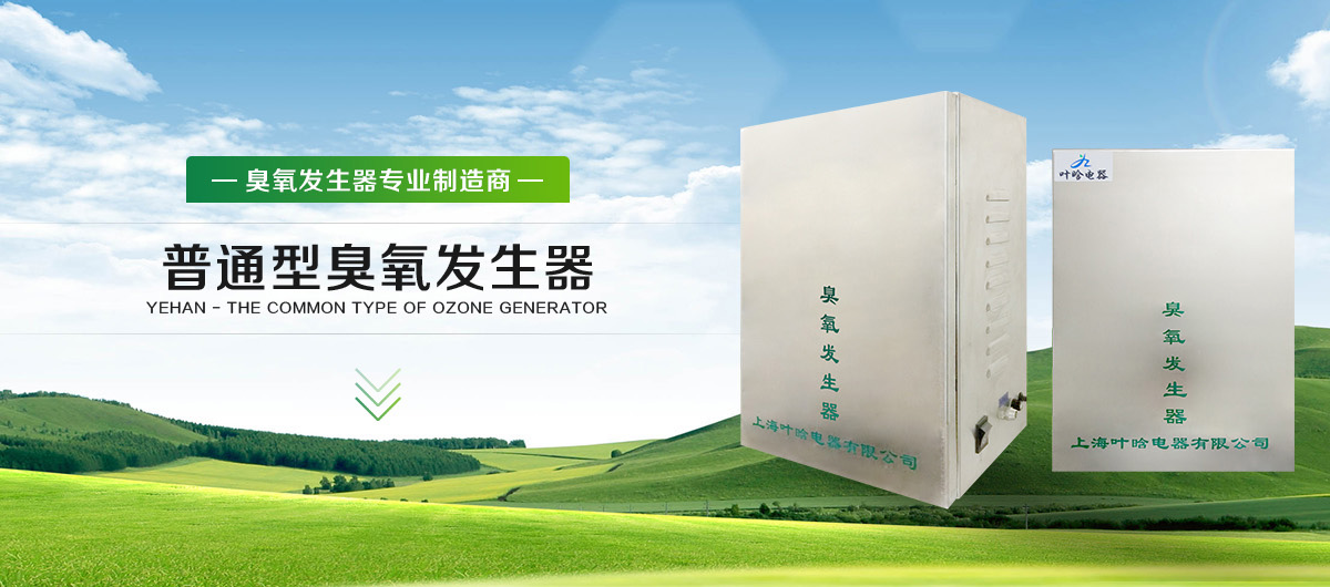 上海叶晗电器有限公司-普通型臭氧发生器